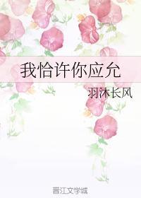 我恰许你应允封面