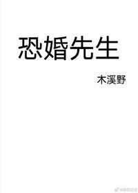 恐婚先生封面