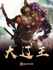 大辽王封面