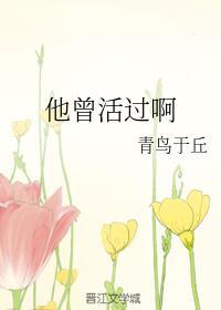 他曾活过啊封面