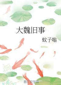 大魏旧事封面