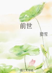 前世封面