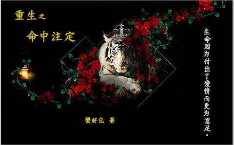 HP重生之命中註定封面