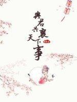 与君共襄天下事封面