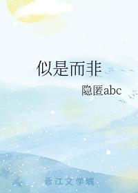 似是而非封面