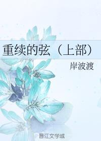 重续的弦封面