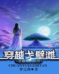金蝴蝶的蜕变：穿越戈壁滩封面