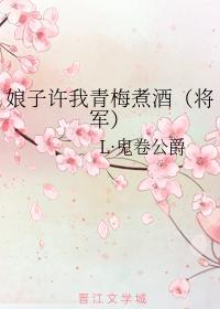 娘子许我青梅煮酒（将军）封面