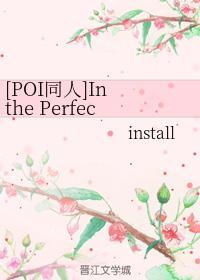 [POI同人]In the Perfect World封面
