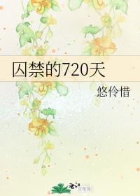 囚禁的720天封面