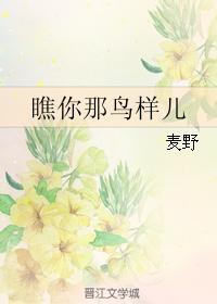 瞧你那鸟样儿封面