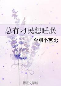 总有刁民想睡朕封面