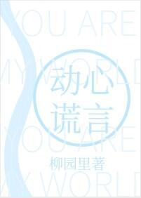 动心谎言封面