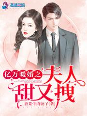 亿万暖婚之夫人甜又拽封面