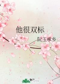 他很双标封面