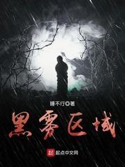黑雾区域封面