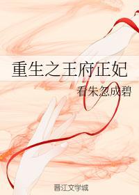 重生之王府正妃封面
