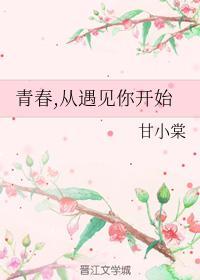 青春，从遇见你开始封面