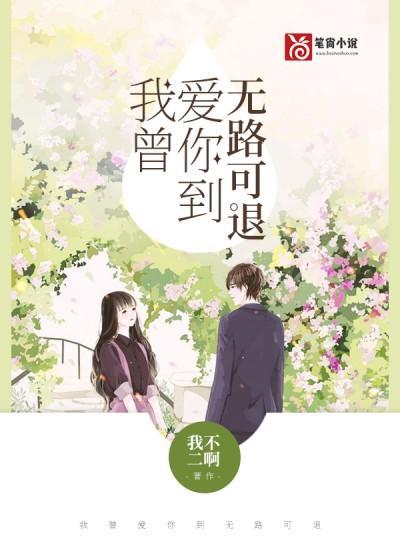 我曾爱你到无路可退封面