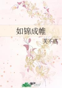如锦成帷封面