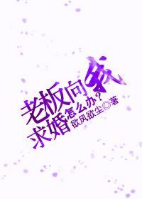 老板向我求婚，怎么办？封面