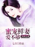 双面总裁：蜜宠鲜妻爱不够封面