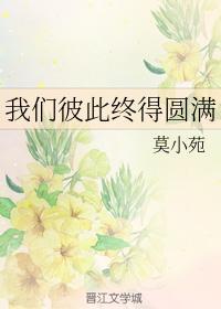 我们彼此终得圆满封面