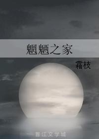 魍魉之家封面