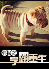 韩娱之学霸重生封面