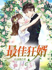 最佳狂婿封面