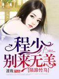 陌路竹马，程少别来无恙封面