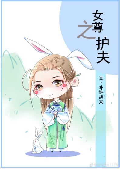 女尊之护夫封面