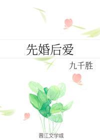 先婚后爱封面
