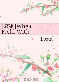 [骸纲]Wheat Field With Crows封面
