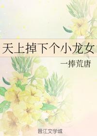 天上掉下个小龙女封面