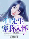 白先生宠你入怀封面