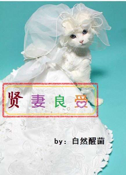 贤妻良受封面