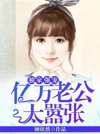 夫人还想往哪逃封面