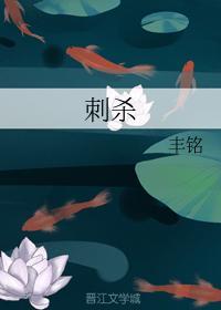 刺杀封面