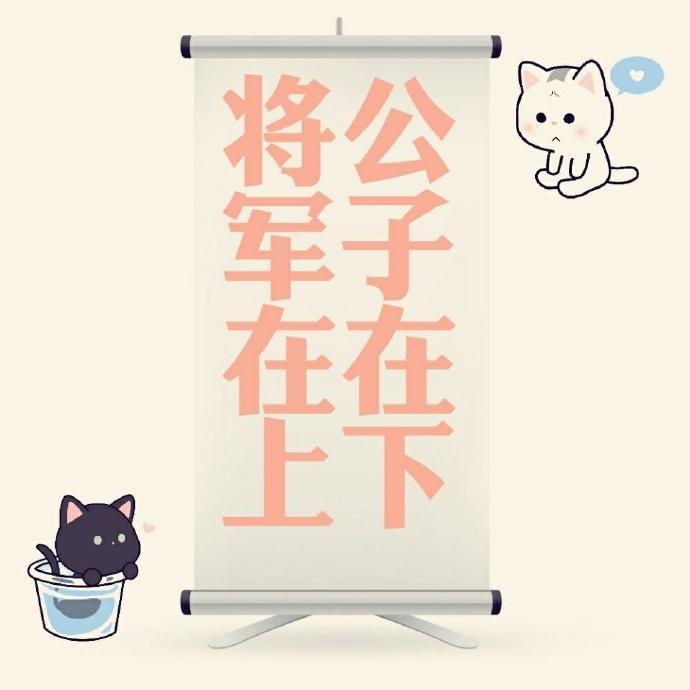 公子在下，将军在上封面