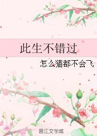 此生不错过封面