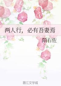 两人行，必有吾妻焉封面
