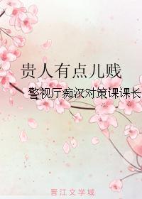 贵人有点儿贱封面