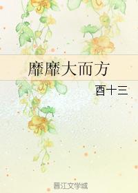 靡靡大而方封面