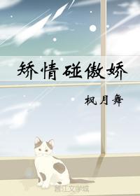 矫情碰傲娇封面