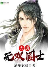 大唐无双国士封面