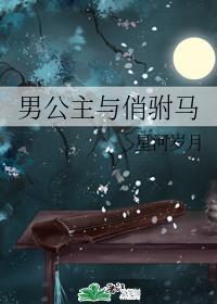 男公主与俏驸马封面