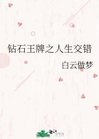 钻石王牌之人生交错封面