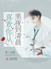 喜欢你从黑夜到清晨封面
