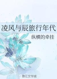 凌风与辰旅行年代封面